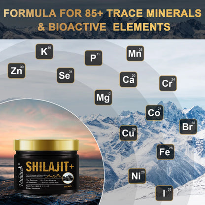 Pure Shilajit Mineral Supplements for Stamina & Energy Boost - Fleur de Luxe