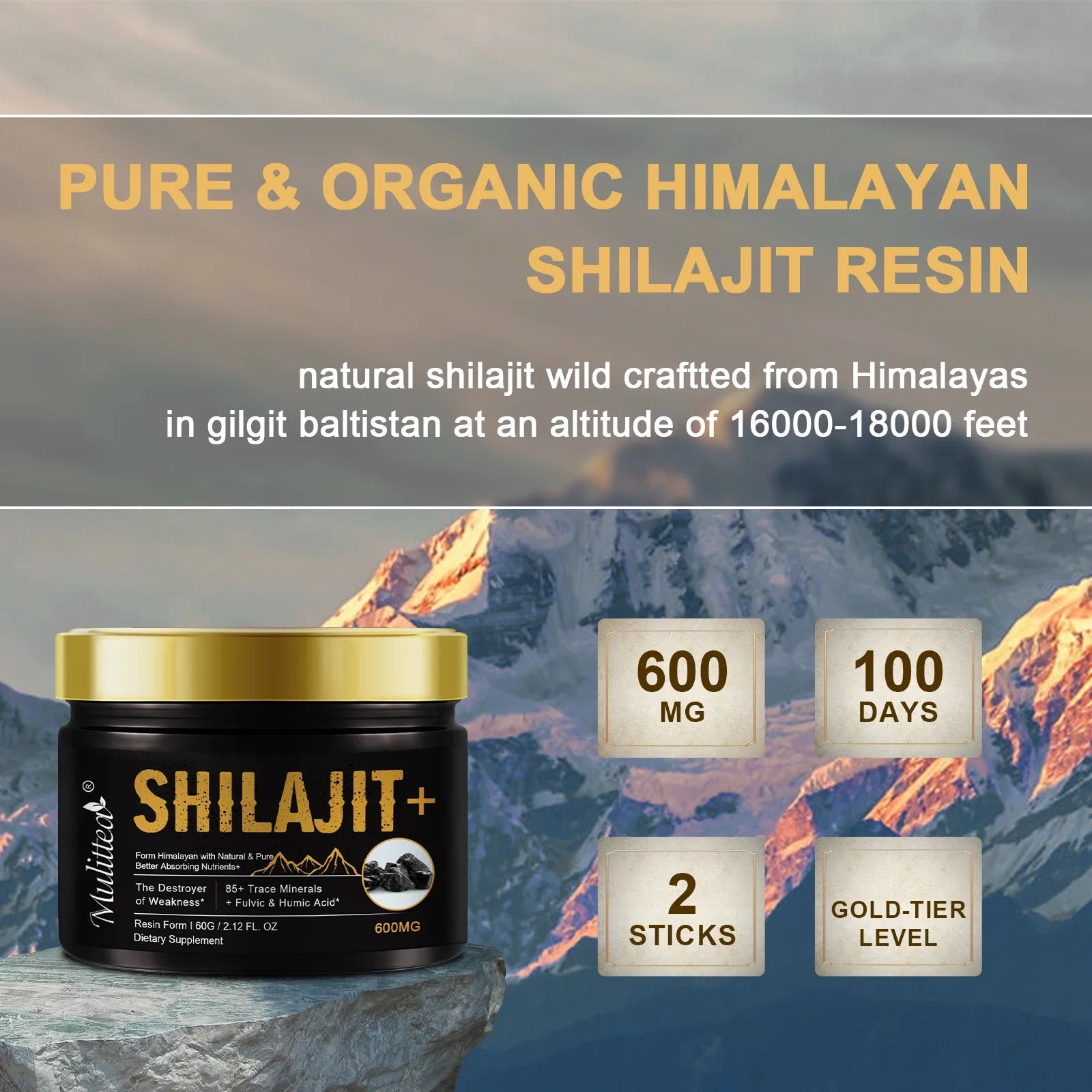 Pure Shilajit Mineral Supplements for Stamina & Energy Boost - Fleur de Luxe